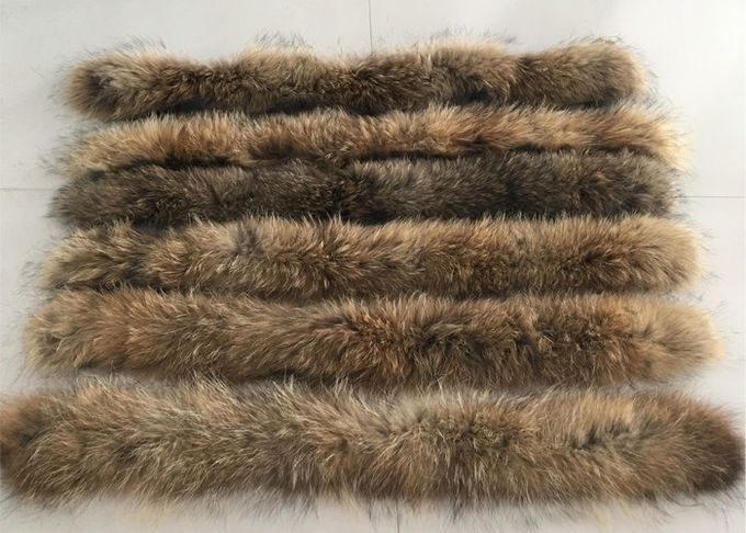 Disposizione reale del cappuccio della pelliccia di Brown per il panno, collare reale staccabile 30 cm * 80 cm della pelliccia del procione